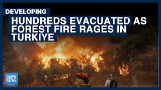 Hundreds Evacuated As Forest Fire Rages In Turkiye’s Izmir For The Third Day | Dawn News English