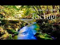 The Grace of Japan, TOCHIGI