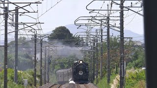 10月7日　SLぐんまみなかみに旧型客車登場 　C61 20が旧型客車をひっぱるのは1年ぶり！　いつものサントリー先で真正面から　#sl #撮影地 #鉄道 #4k #japan #蒸気機関車