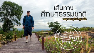 เส้นทางเดินศึกษาธรรมชาติ วนอุทยานภูสิงห์-ภูผาผึ้ง | เดินเข้าป่า EP.2