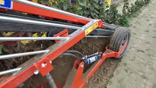 SP 2000 SCAVAPIANTE DIGGING MACHINE FOR PLANTS