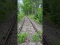 Abandoned railway track in Germany #shorts #short #shortvideo  #abandoned #urbex #lostplaces