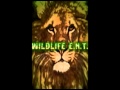 Wildlife E.N.T. feat.Relli-Ride or Die