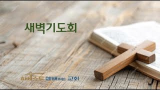 2024.11.26 새벽기도회