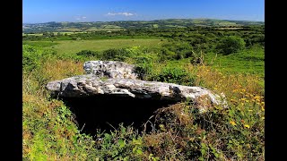 Cist upon the eastern flank of Mynydd Llangyndeyrn, Carmarthenshire