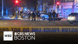 Victims expected to survive after double shooting in Roxbury