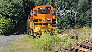 CSX West Springfield yard visit 8/27/23 with a stinky surprise 🦨 🤷‍♂️😅