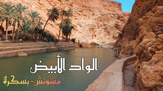 الواد الأبيض #مشونش #بسكرة 🌴 كما لم تراه من قبل 😍