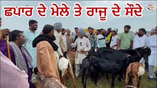 ਛਪਾਰ ਦੇ ਮੇਲੇ ਤੇ ਸੌਦਾ । chapar da mela #bakramandi #farming #goats