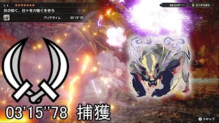 【MHRise Switch】炎の如く、日々を力強く生きろ マガイマガド 双剣 ソロ 03'15''78/Blazin' Soul of a Warrior Dual Blades Solo