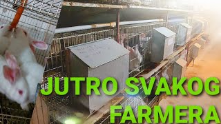 FARMERSKA SVAKODNEVNICA | Farmer's everyday life🐰🐇 (Rabbit farm)