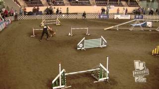 2014 AKC NAC-- Cali's Standard Run