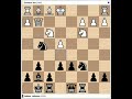 The Bishop and Rook Sacrifice // Mikhail Gurevich vs Jiri Pelikan, World-ch Team 1991