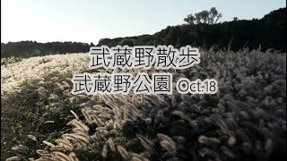 武蔵野散歩「武蔵野公園 Oct.18」