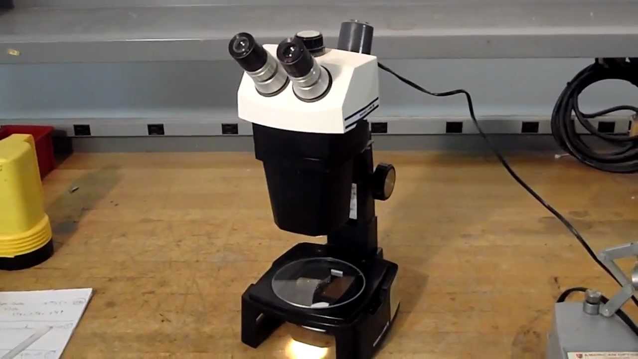 Bausch & Lomb B&L Stereo Zoom 7 With Stand And Lights - YouTube