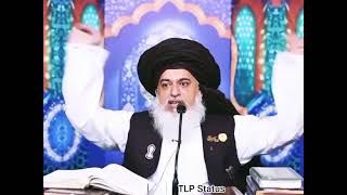 Allama Khadim Hussain Rizvi About Dawat-e-Islami #allamakhadimhussainrizvi #tlp #dawateislami