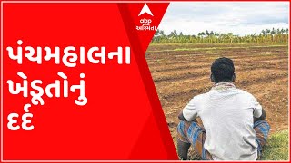 વરસાદ ખેંચતા પંચમહાલ જિલ્લાના ખેડૂતો મુશ્કેલીમાં, પાક બરબાદ થવાની ભીતિ