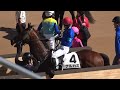 【現地】2024 メイクデビュー ナルカミ 坂井 瑠星 早くも101勝【京都競馬場】