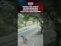 Tamil Nadu: Chain Snatchers Target Woman As She Narrowly Escapes Being Run Over #shortsfeed #shorts