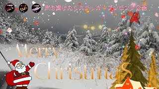 メリークリスマス❗🎄✨vipサンタ🎅がステッカーを持ってやって来た!🎁