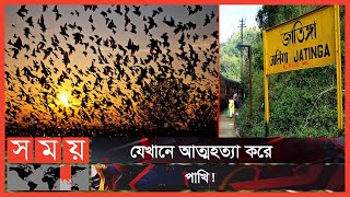 জাতিঙ্গা গ্রামে পাখিদের আত্মহনন | Birds | Jatinga Village | Mysterious Jatinga Village | Somoy TV