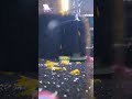 feeding yellow shrimp 餵食黃金米蝦 喂食黄金米虾