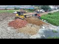 first starting opening new action team work dump truck unloading soil fill land bulldozer pushing