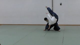 香港合氣道演武會 | Aikido Embukai in Hong Kong