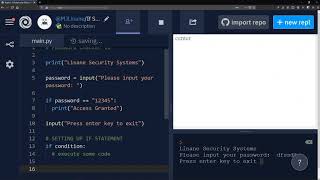 Python If Statements (Password Checker)