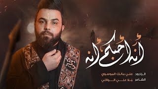 انه احبكم انه || ملا علي الوائلي || 1445 هجري