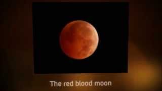 Red Moon (Total lunar eclipse 2014 October 8th)