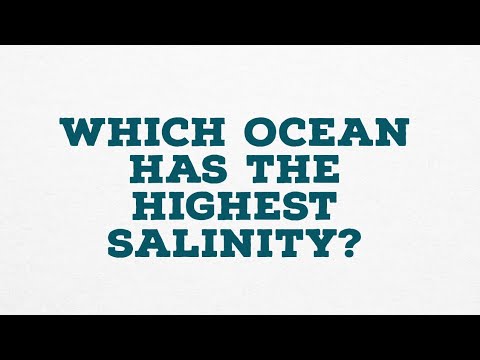 What ocean has the highest salinity?