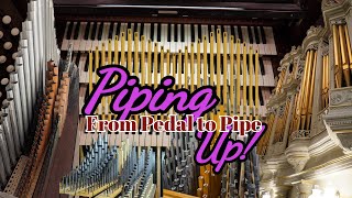 Piping Up! Masterpiece of Time: The Story of Holy Trinity’s M.P. Möller Pipe Organ