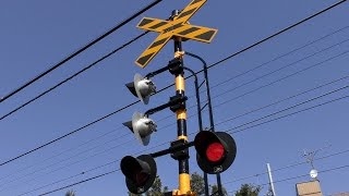 東武10030系電車 踏切通過 急行 森林公園行き 11638F 東上線 第54号 japan train