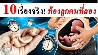 พัฒนาการทารกในครรภ์ : 10 เรื่องจริง \