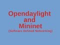 Opendaylight and Mininet (Software Defined Networking study)