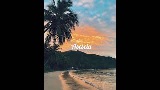 Voqa Kamica - Asesela (Official Audio)