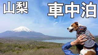 愛犬と山梨車中泊の旅#1