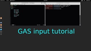 GAS x64 GNU Assembler input tutorial in Linux