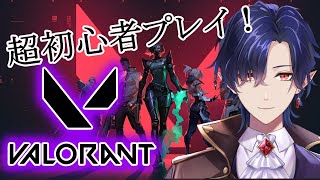 【 #valorant 】初心者ヴァロラントの会【 #新人vtuber 】