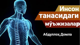 Инсон танасидаги мўъжизалар Абдуллоҳ Домла Inson tanasidagi Mujizalar Abdulloh Domla #yangimaruza