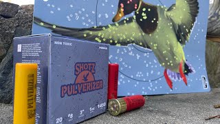 SHOTZ ammunition pattern TEST and REVEIW