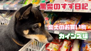 柴犬お買い物inカインズ【黒柴のすず日記】#46