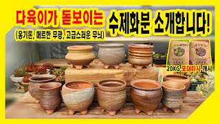 (국산화분)고급스러운 느낌의 수제화분 소개합니다/포대마사 개시합니다!