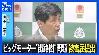 ビッグモーターの“街路樹”問題　群馬県は被害届提出　東京・埼玉・千葉など各自治体が調査｜TBS NEWS DIG