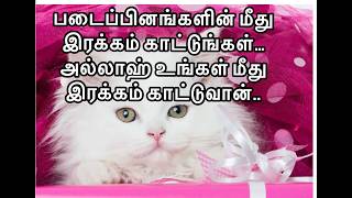 படைப்பினங்களின் மீது இரக்கம் காட்டுங்கள்.. அல்லாஹ் நம் மீது இரக்கம் கொள்கிறான்../way to janna/islam