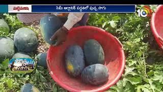 లాభాలు పండిస్తున్న పుచ్చసాగు | Success Story of Watermelon Cultivation | Matti Manishi | 10TV