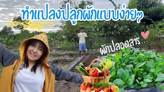 ทำแปลงปลูกผักแบบง่ายๆ | มาเริ่มปลูกผักปลอดสารกันค่ะ