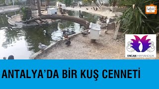 Antalya'da Bir Kuş Cenneti