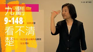 臺灣手語語料彙整【看不清楚】9 148